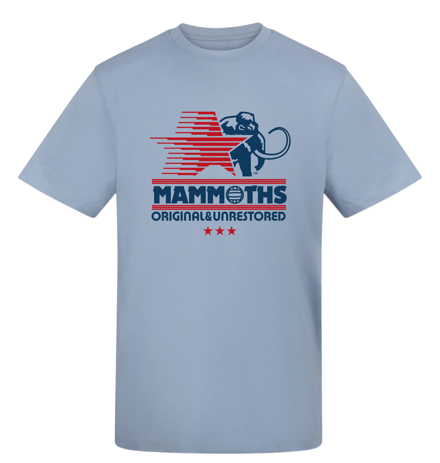 Sky Blue Printed T-shirt Front