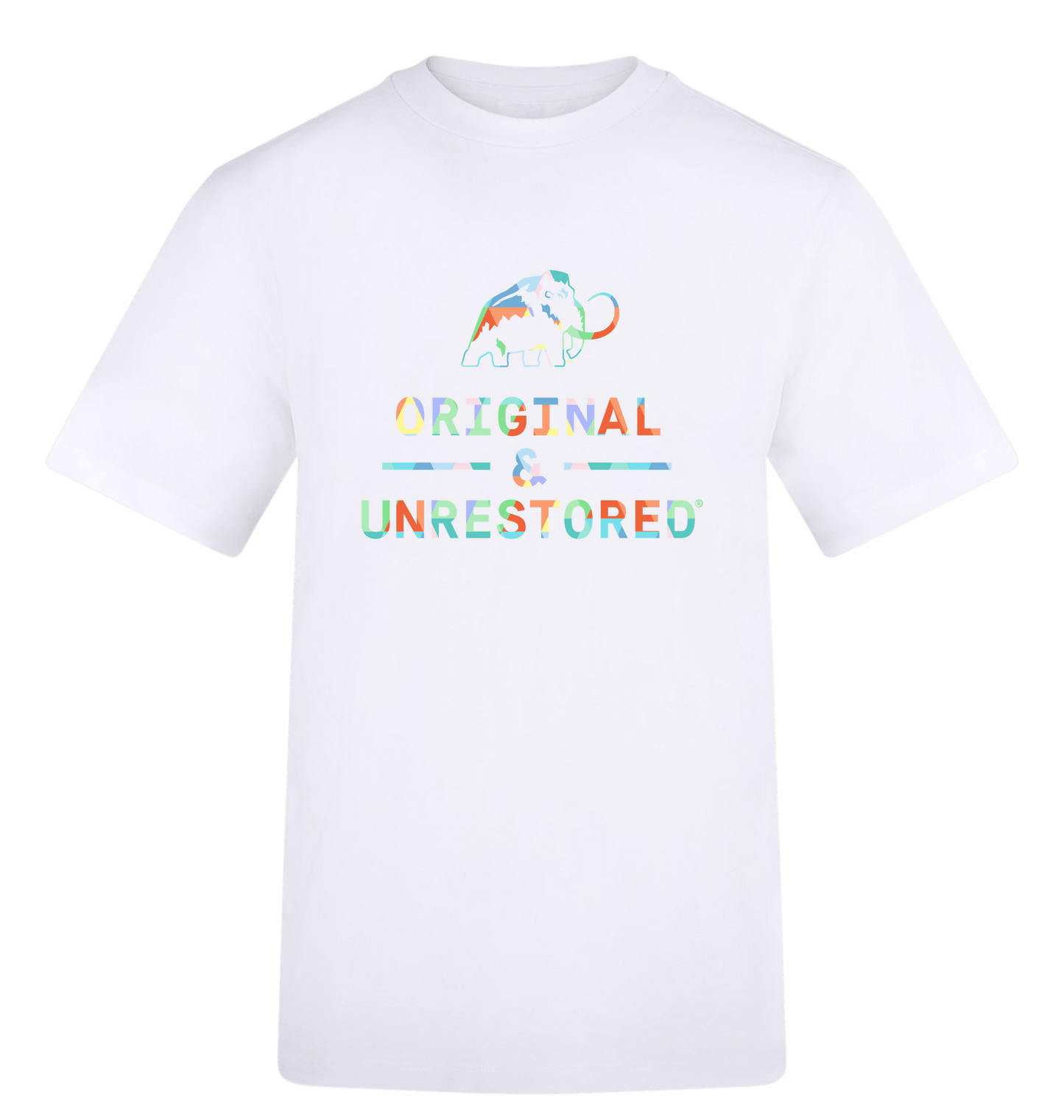 Arctic White Printed T-shirt Front