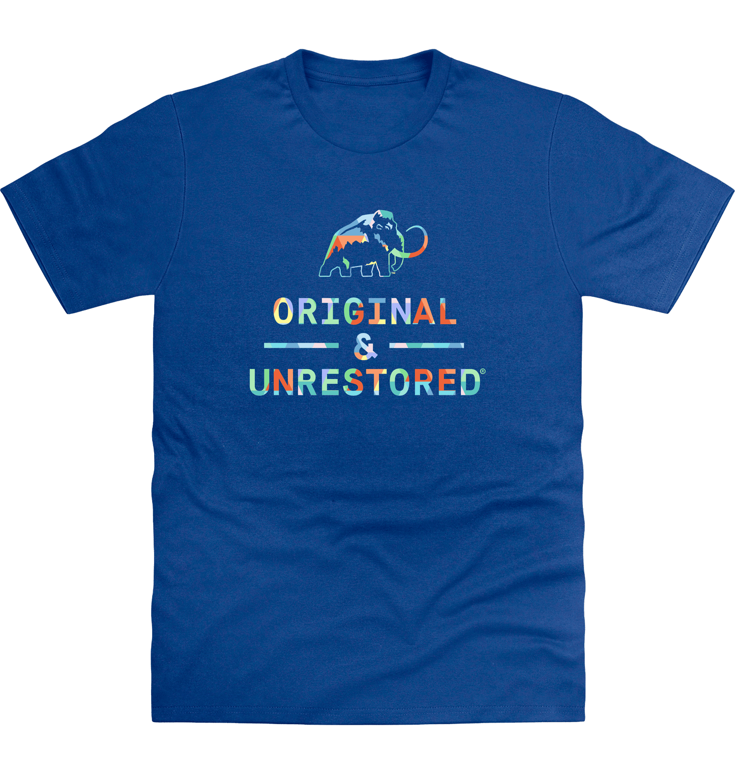 Royal Blue Printed T-shirt Front
