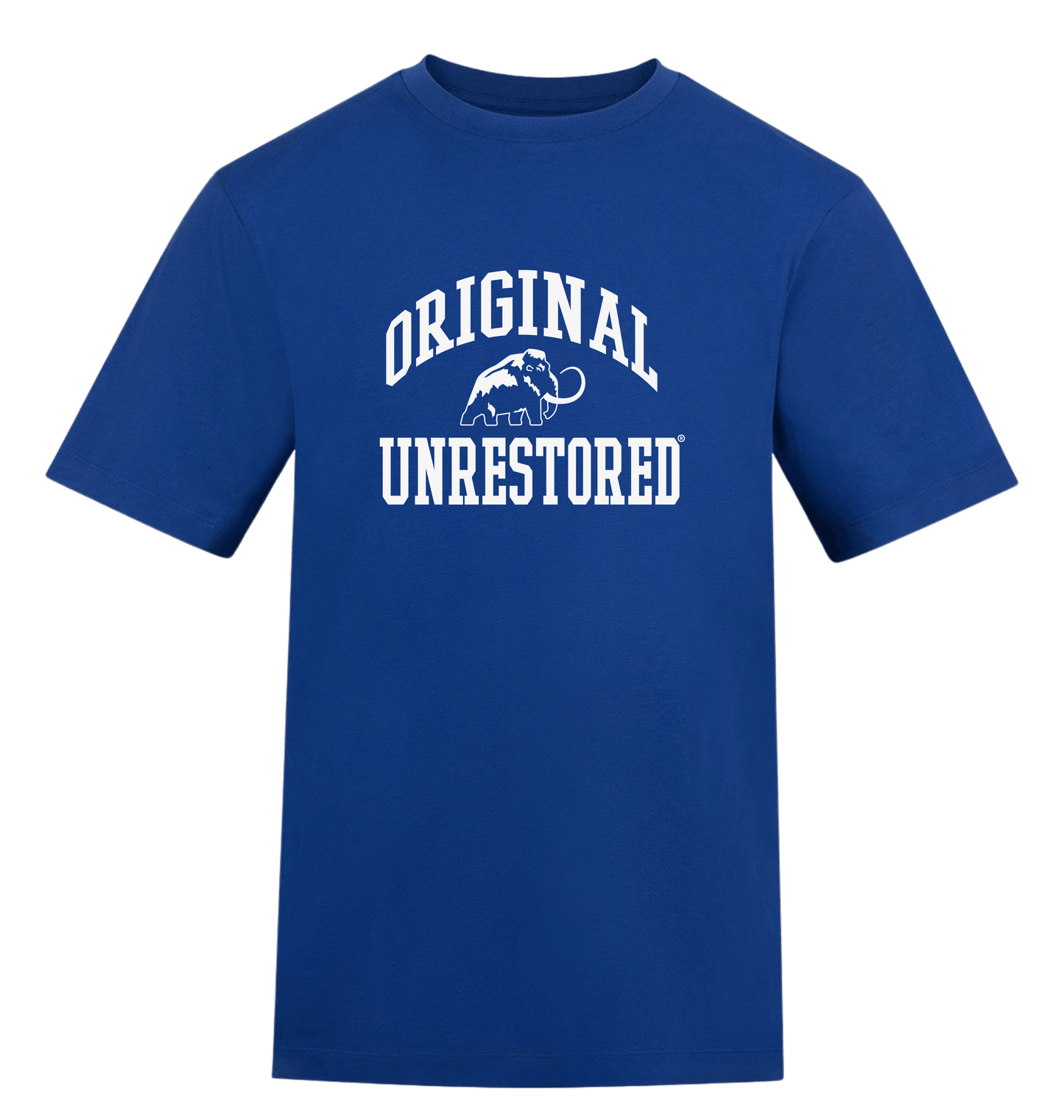 Royal Blue Printed T-shirt Front