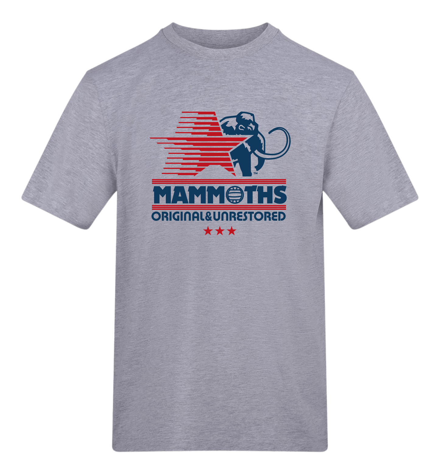 Heather Grey Printed T-shirt Front