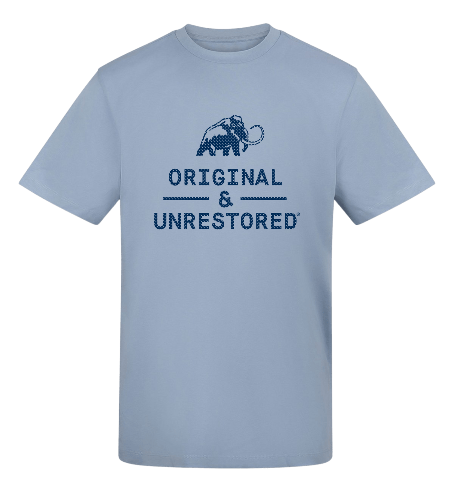 Sky Blue Printed T-shirt Front