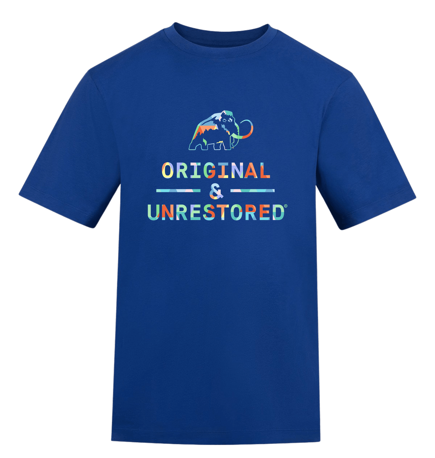 Royal Blue Printed T-shirt Front