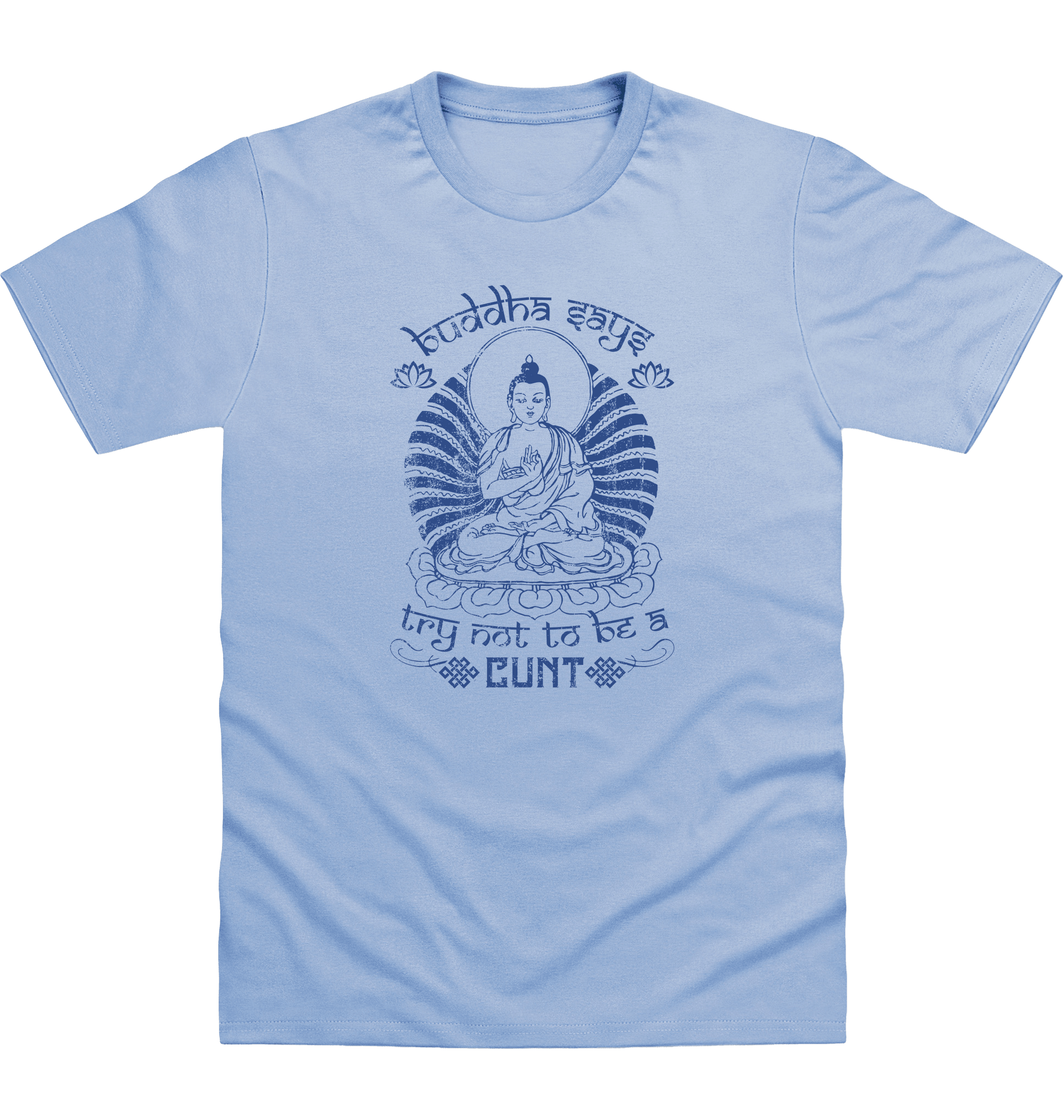 Sky Blue Printed T-shirt Front
