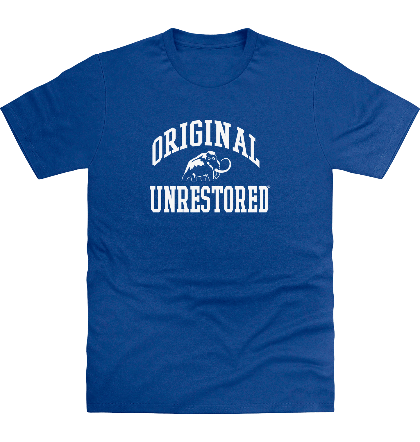 Royal Blue Printed T-shirt Front
