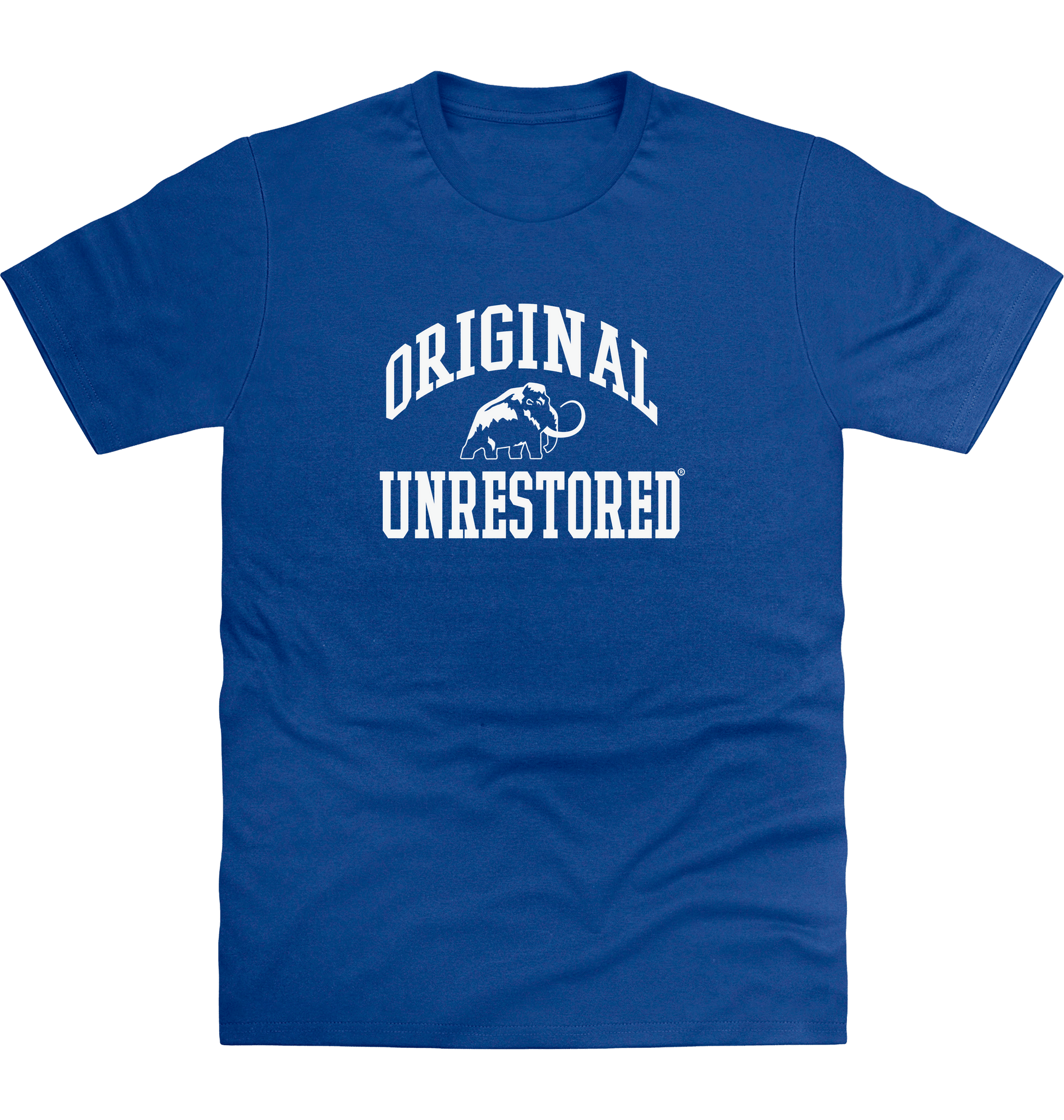 Royal Blue Printed T-shirt Front