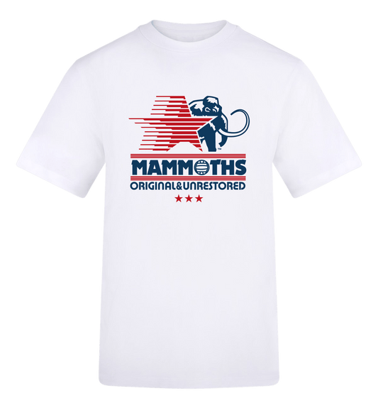Arctic White Printed T-shirt Front