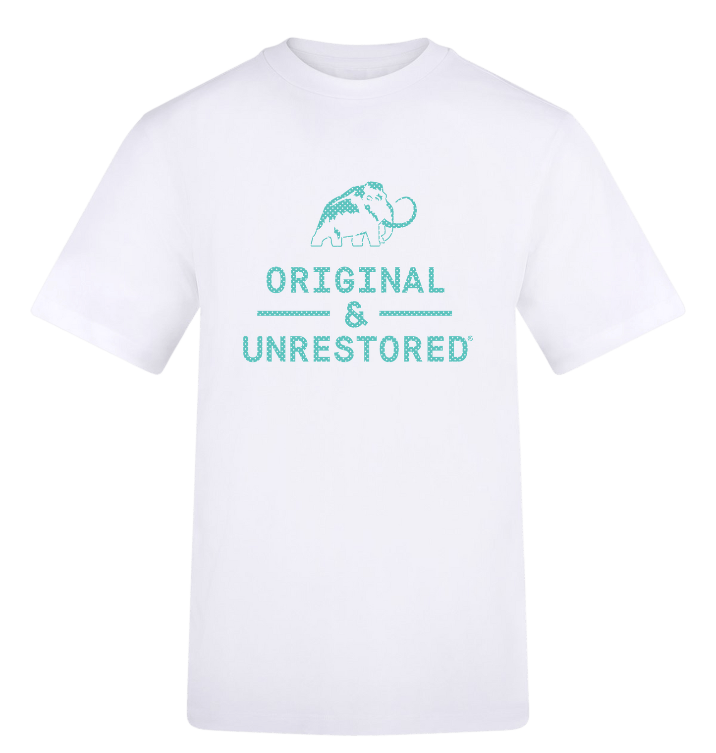 Arctic White Printed T-shirt Front