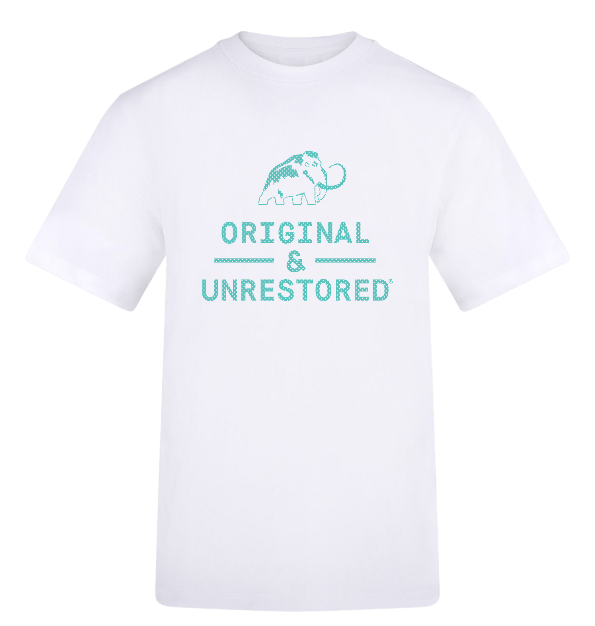 Arctic White Printed T-shirt Front