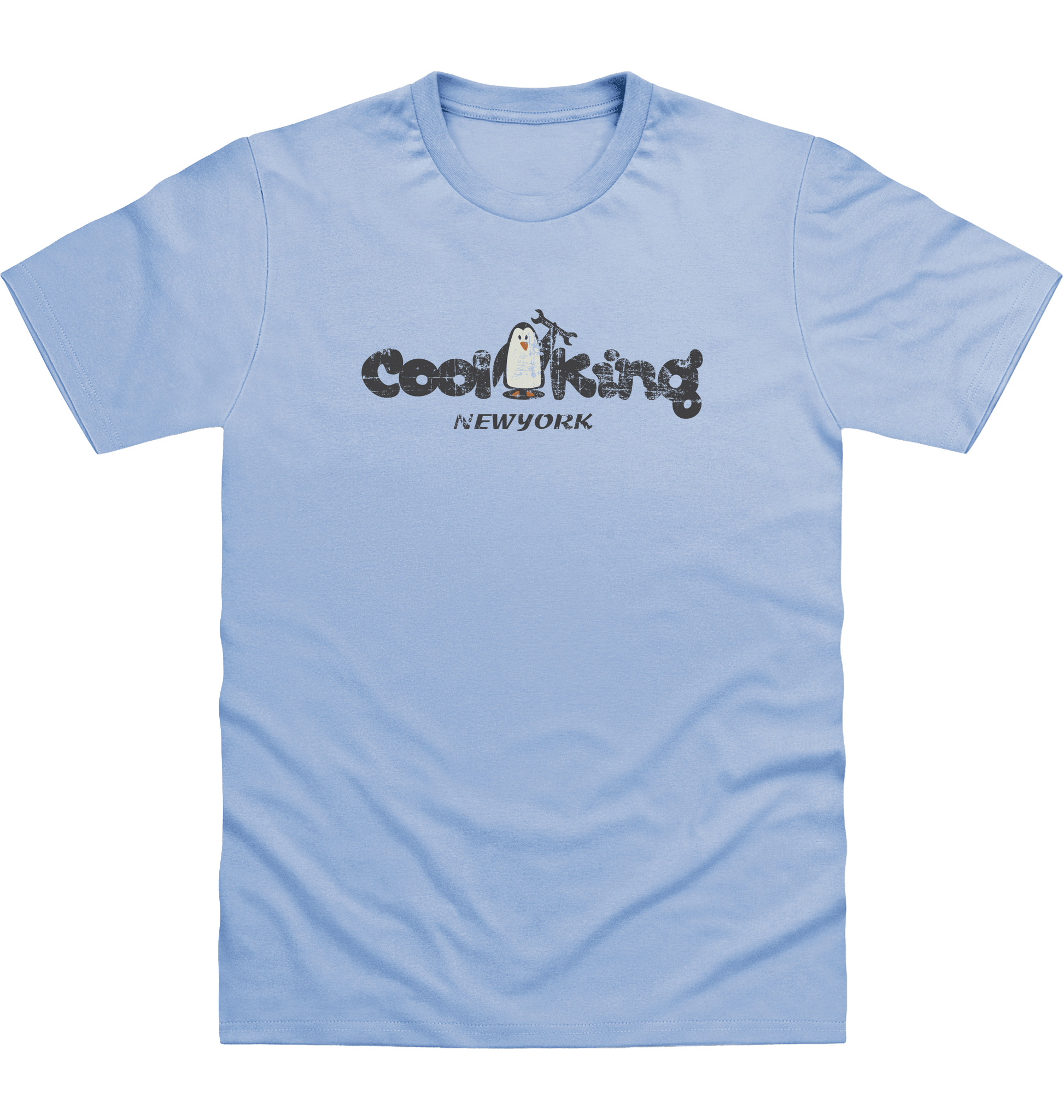 Sky Blue Printed T-shirt Front