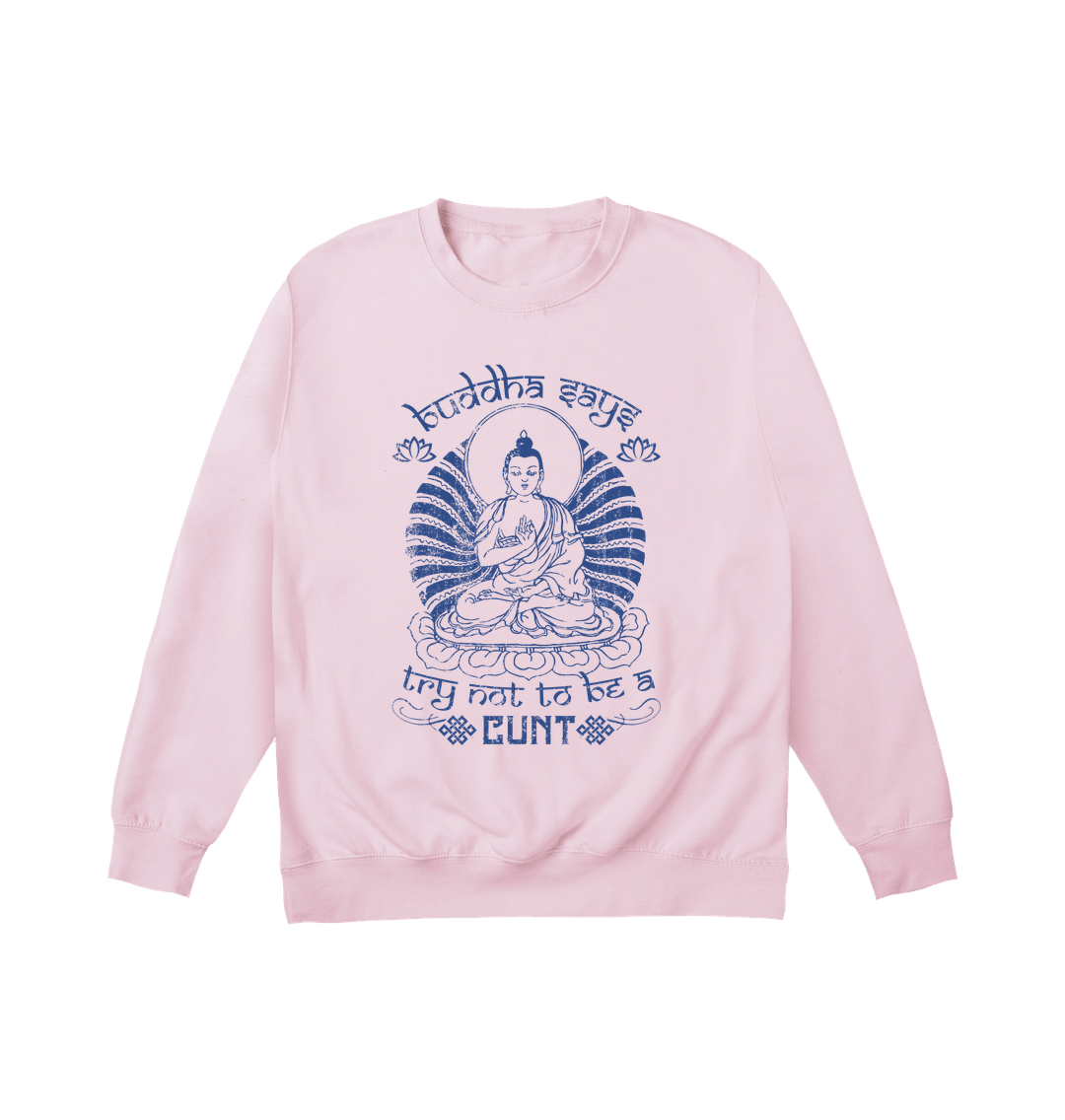 Baby Pink Printed Sweater Front